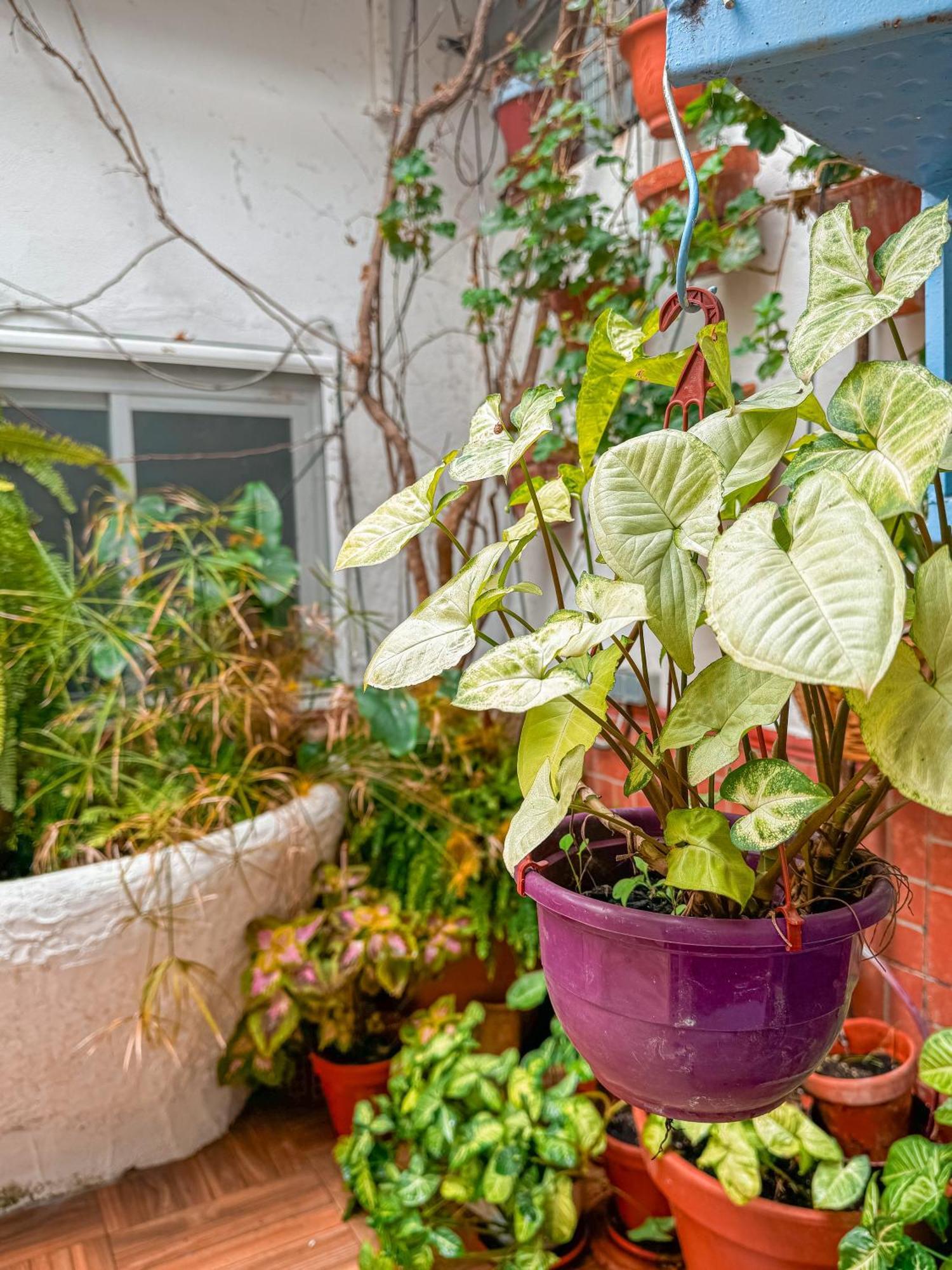 Almodóvar del Río Casa Cruz 빌라 외부 사진